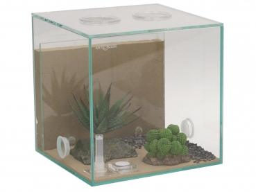 ANTCUBE Starter Set S - 20x20 - Combi